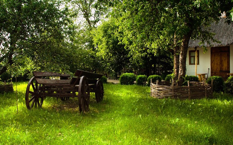 Rustic cart in a green yard