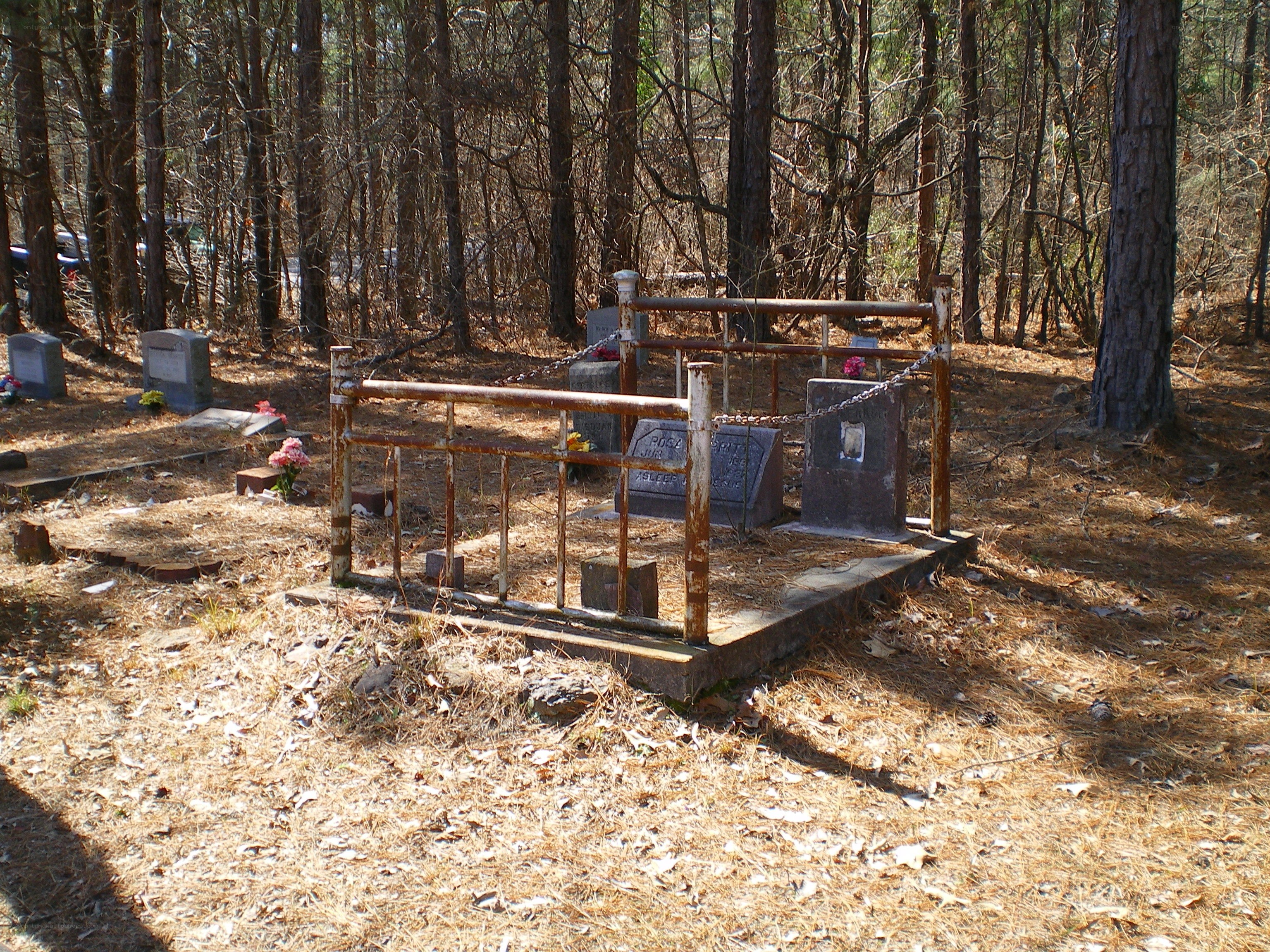 Rustic cemetery in wooded area