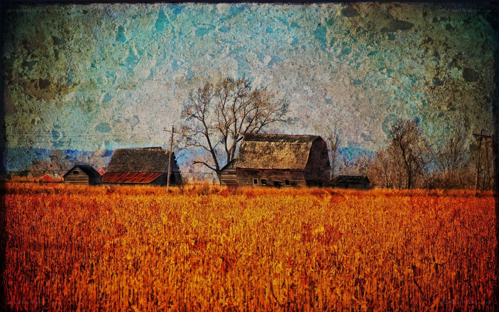 Rustic farm in autumn field