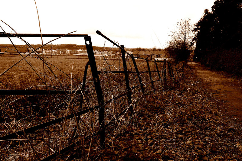 Rustic fence along a dirt path