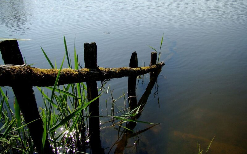 Rustic fence by the water