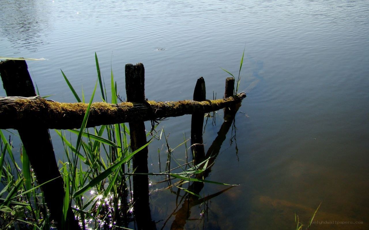 Rustic fence by the water