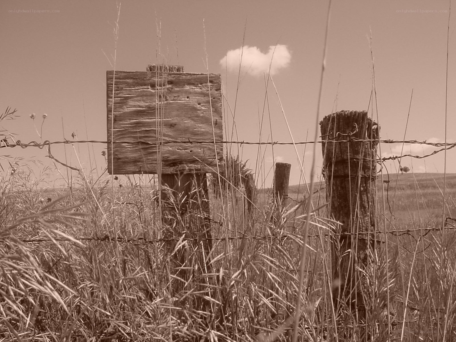 Rustic fence in a field
