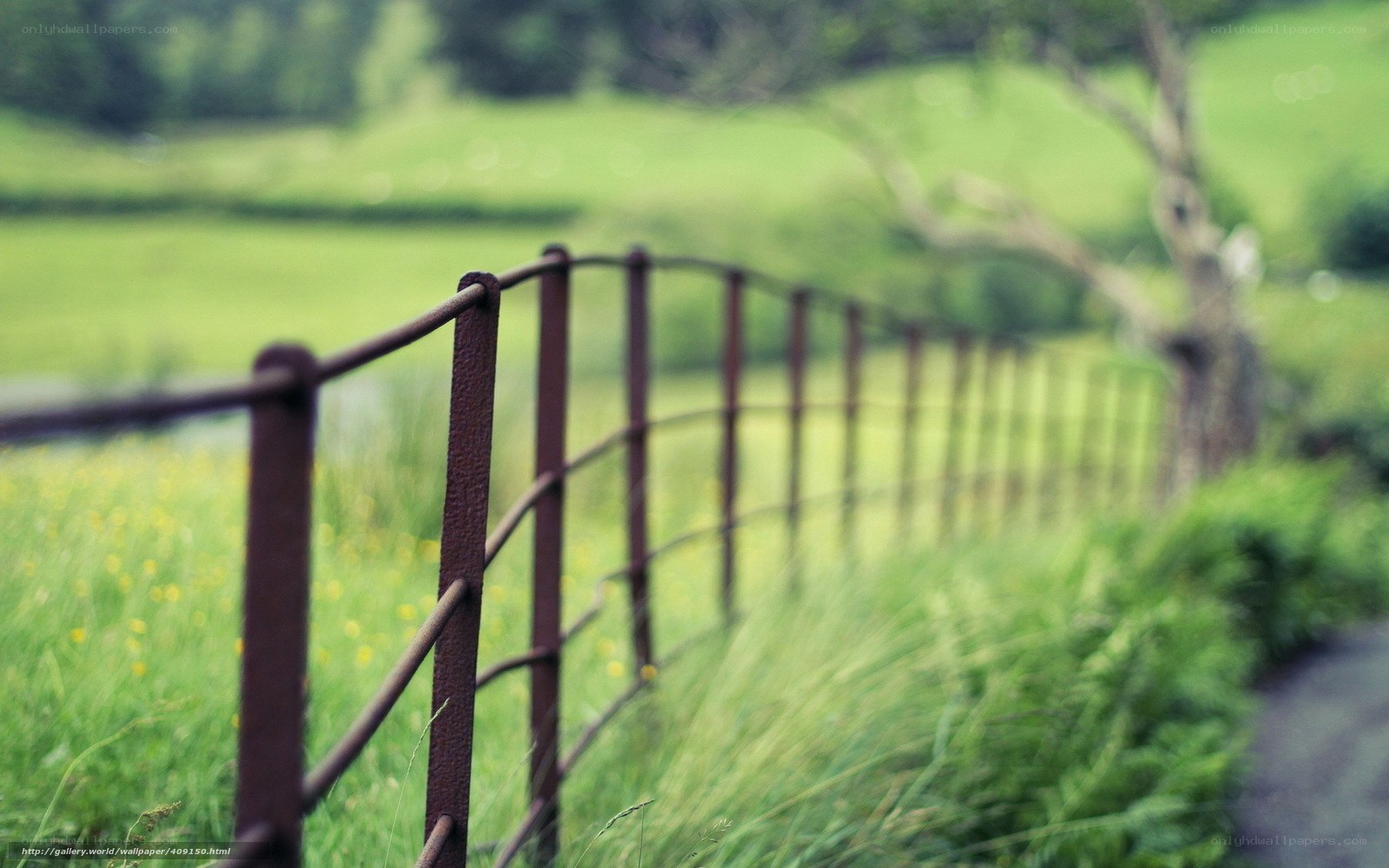 Rustic fence in green fields