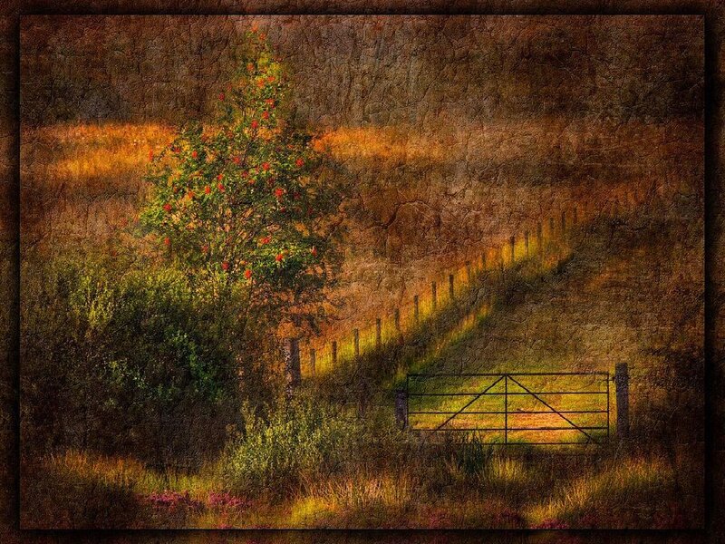 Rustic gate at sunset