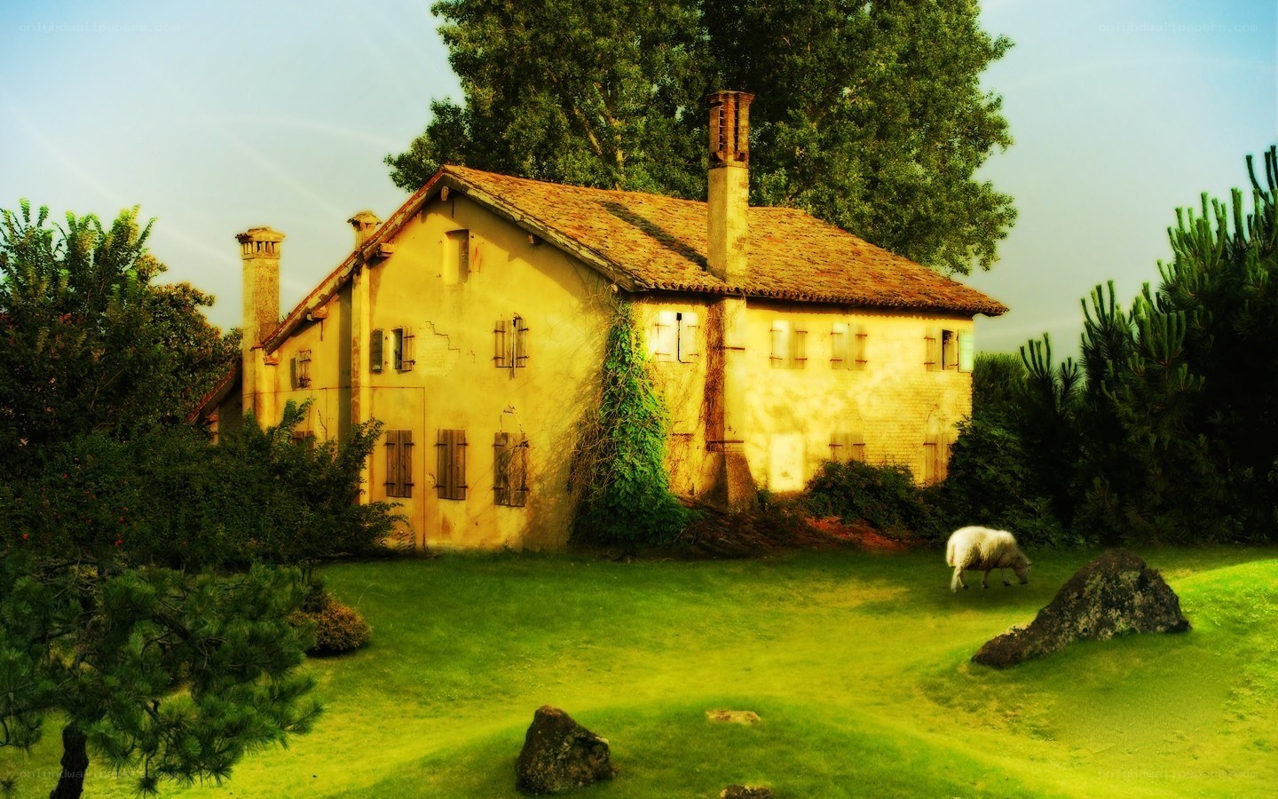 Rustic house in a green field