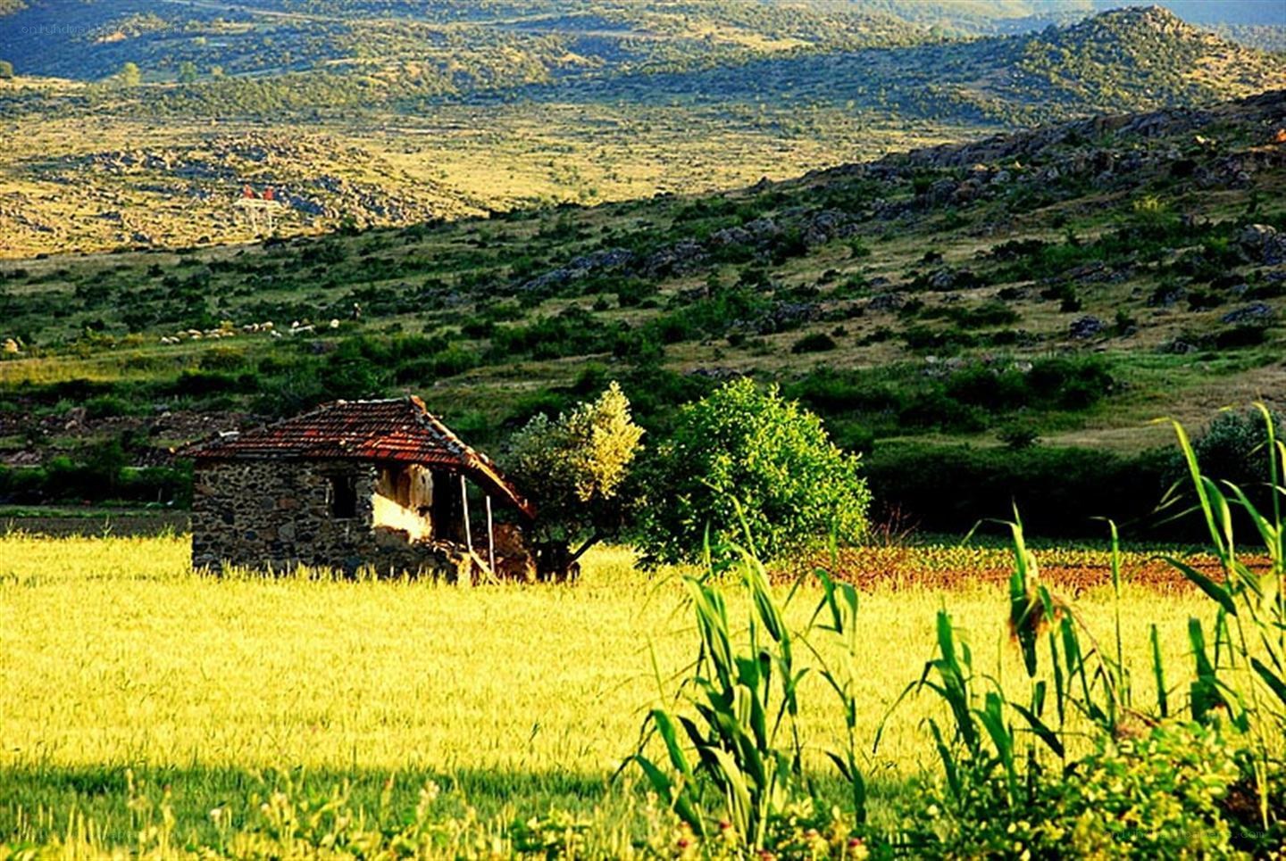 Rustic hut in a sunlit valley