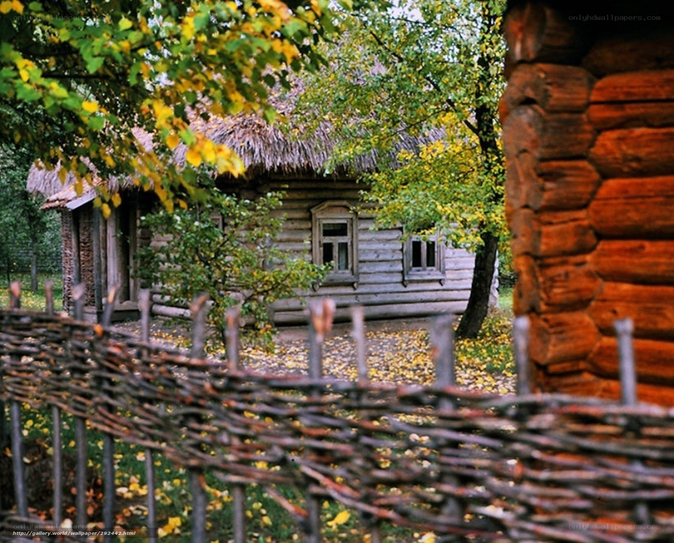Rustic log cabin in autumn