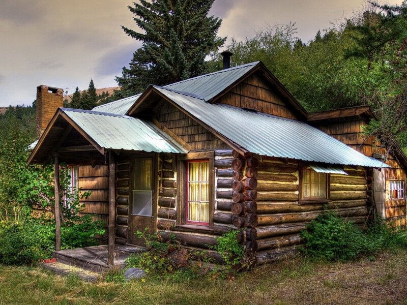 rustic log cabin in forest