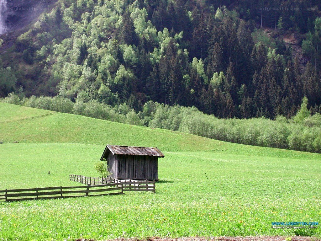 Rustic shed in green valley