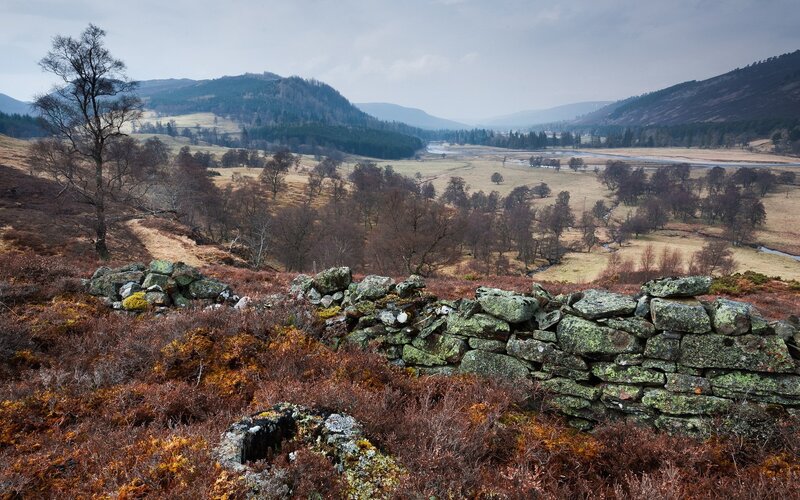 Rustic stone wall in a valley