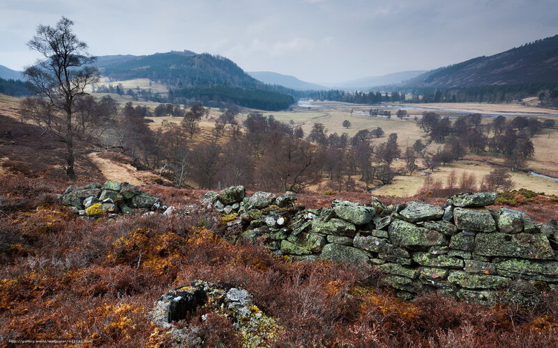Rustic stone wall in a valley