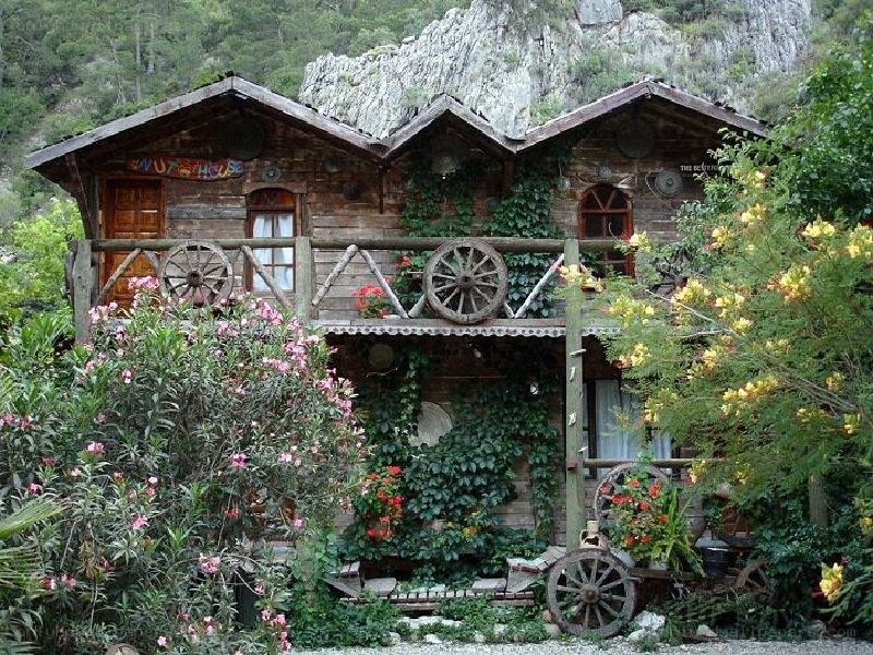 rustic wooden cabin in garden
