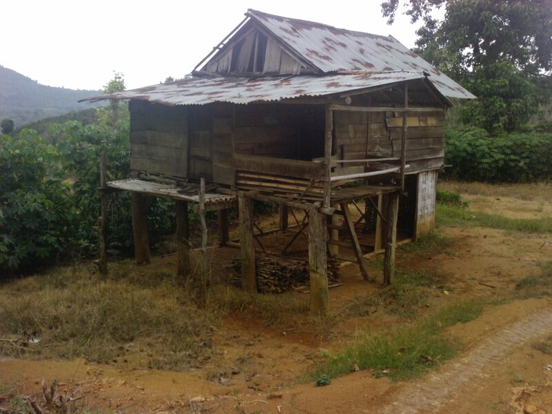 Rustic Wooden Hut