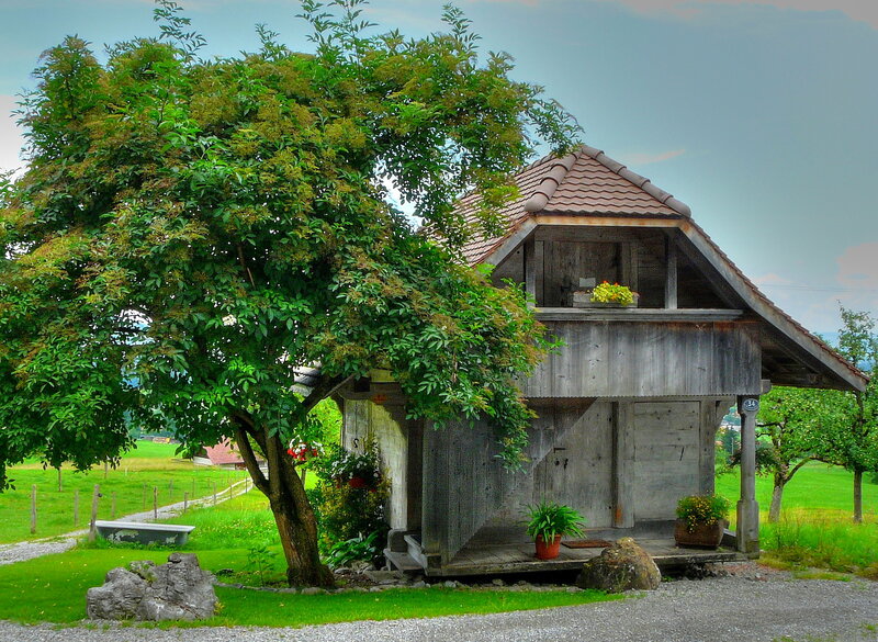 Rustic wooden shed in a green field