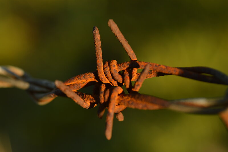 Rusty Barbed Wire — Brown, Dramatic