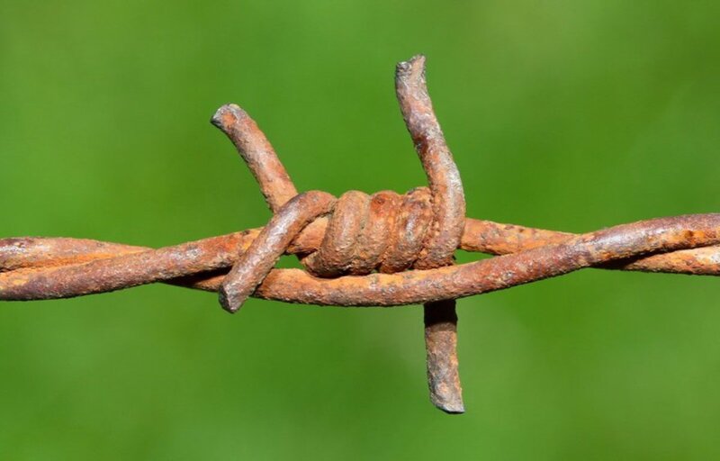 Rusty Barbed Wire — Brown, Neutral