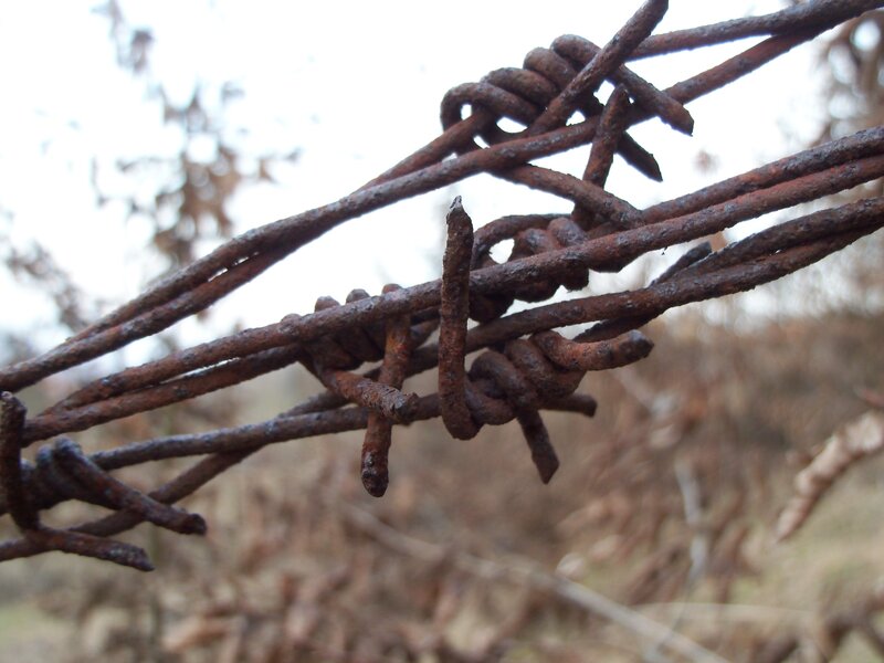 Rusty Barbed Wire — Brown