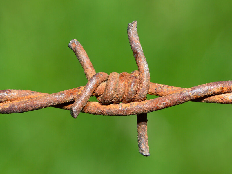 Rusty barbed wire close-up