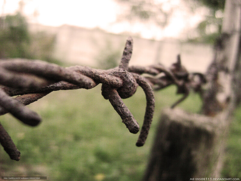 Rusty barbed wire close-up