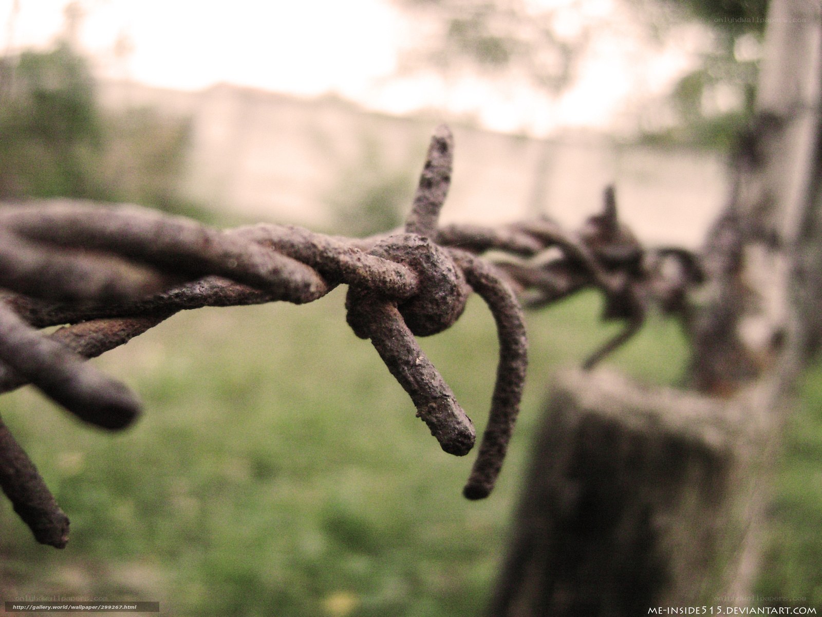 Rusty barbed wire close-up
