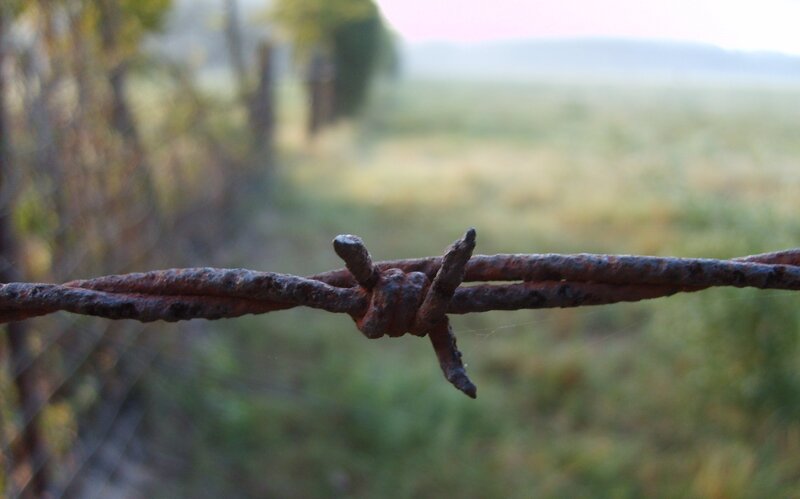 Rusty barbed wire fence