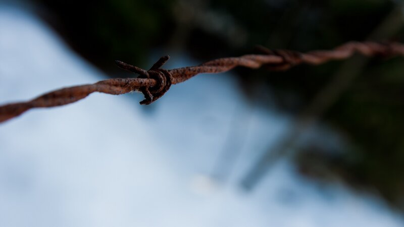 Rusty barbed wire in focus