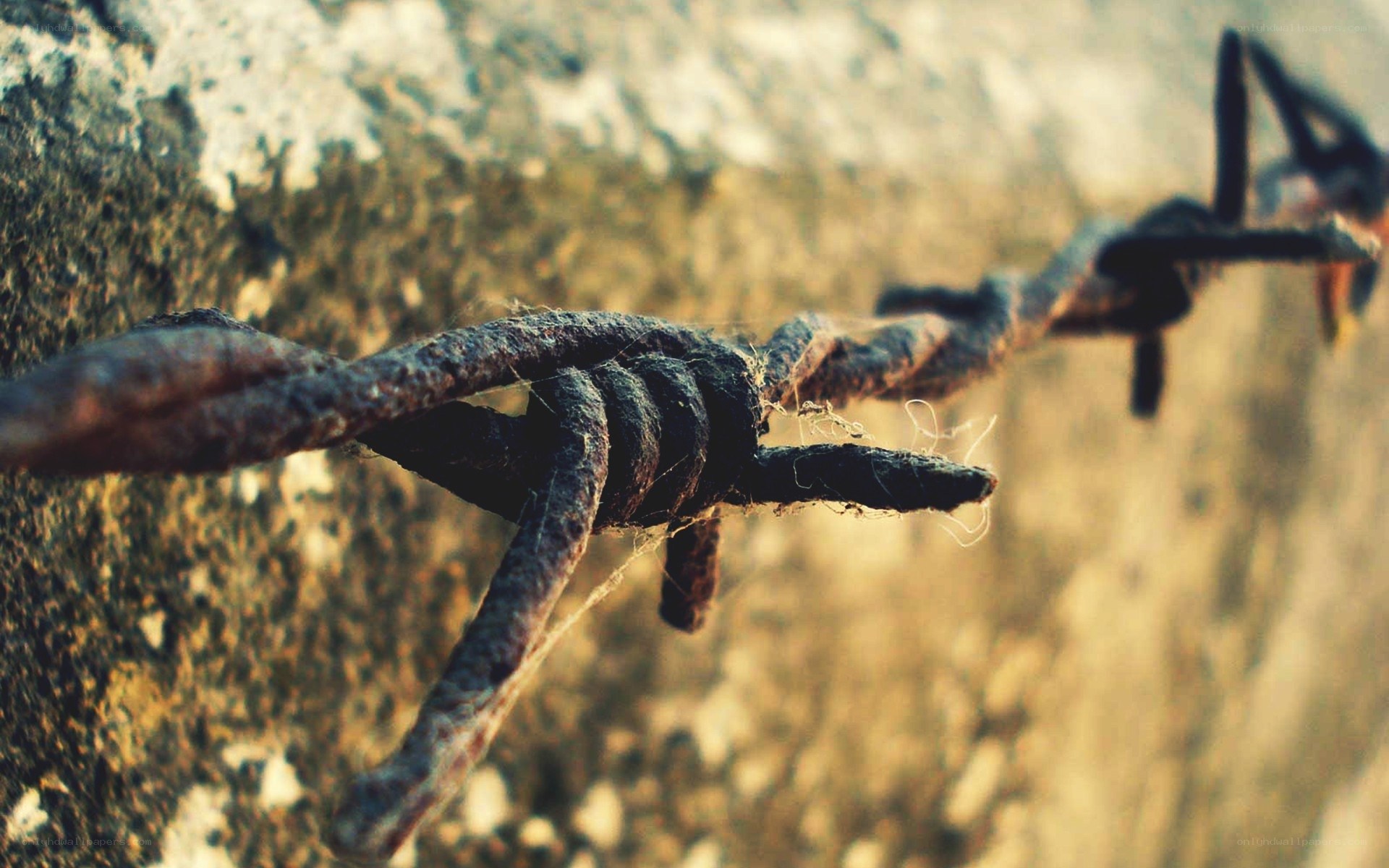 Rusty barbed wire on stone