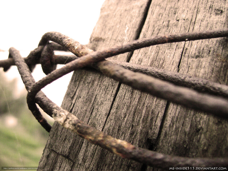 rusty barbed wire on wood