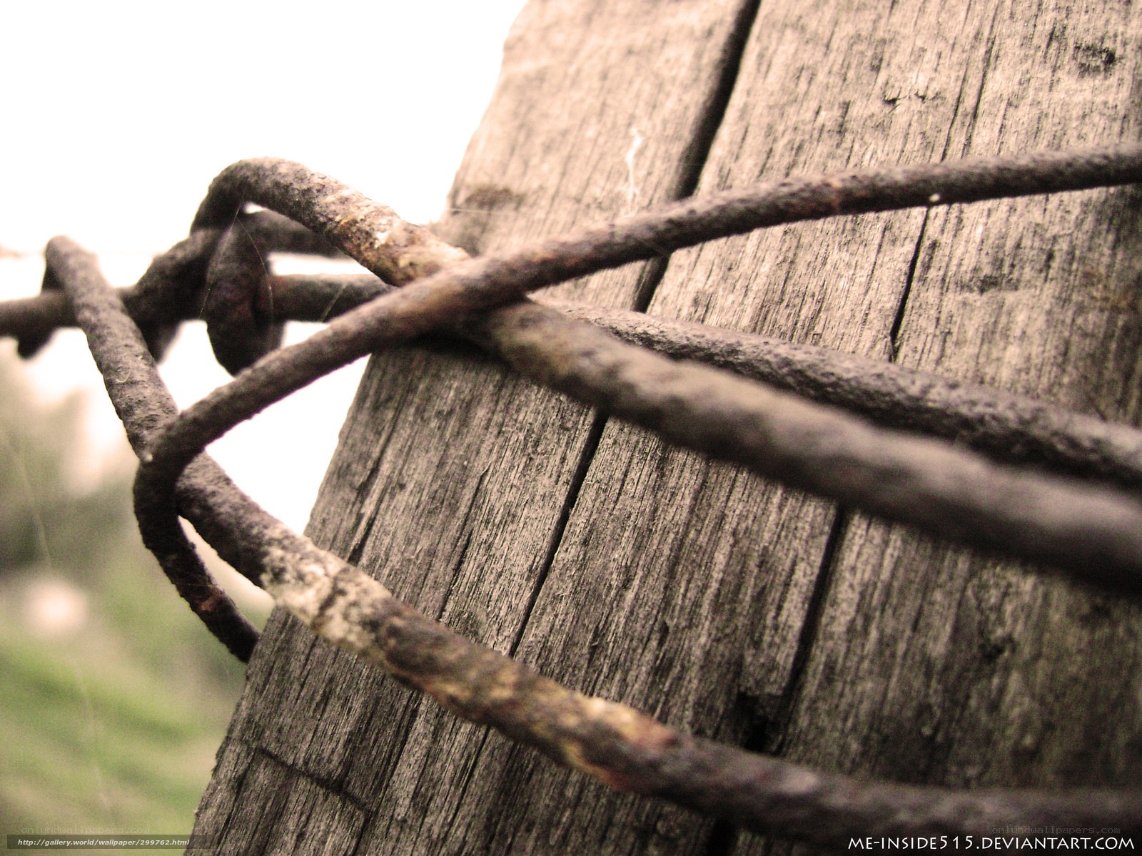 rusty barbed wire on wood