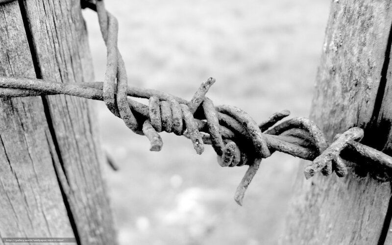 Rusty barbed wire on wooden posts