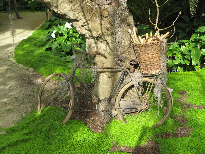 Rusty Bicycle Against Tree