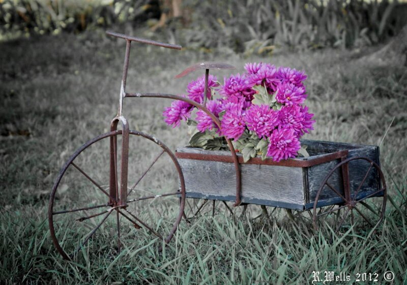 Rusty Bicycle Cart