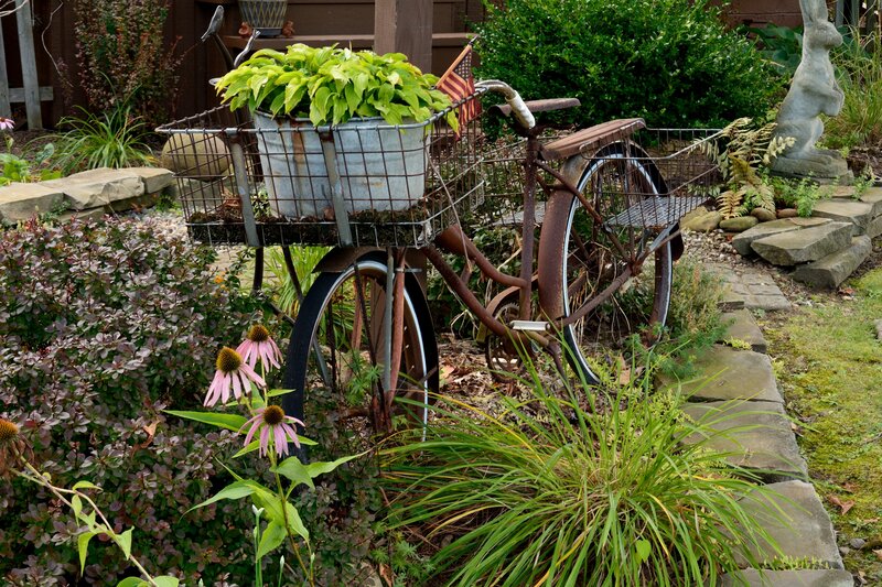 Rusty Bicycle in Garden