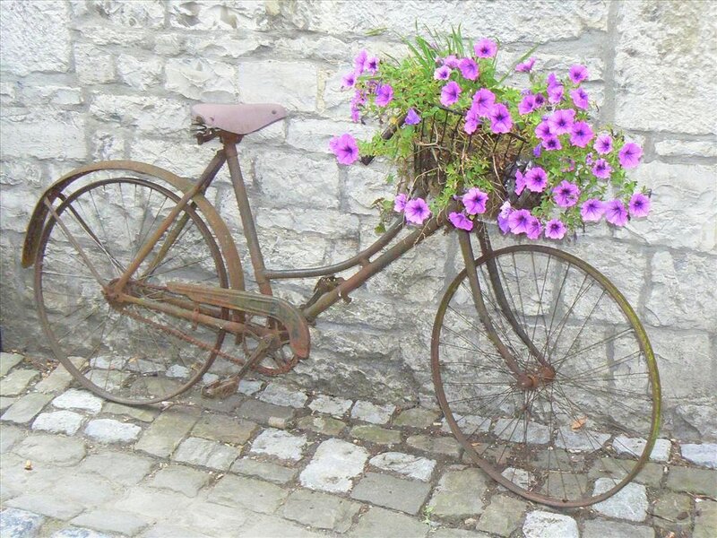 Rusty Bicycle with Flowers