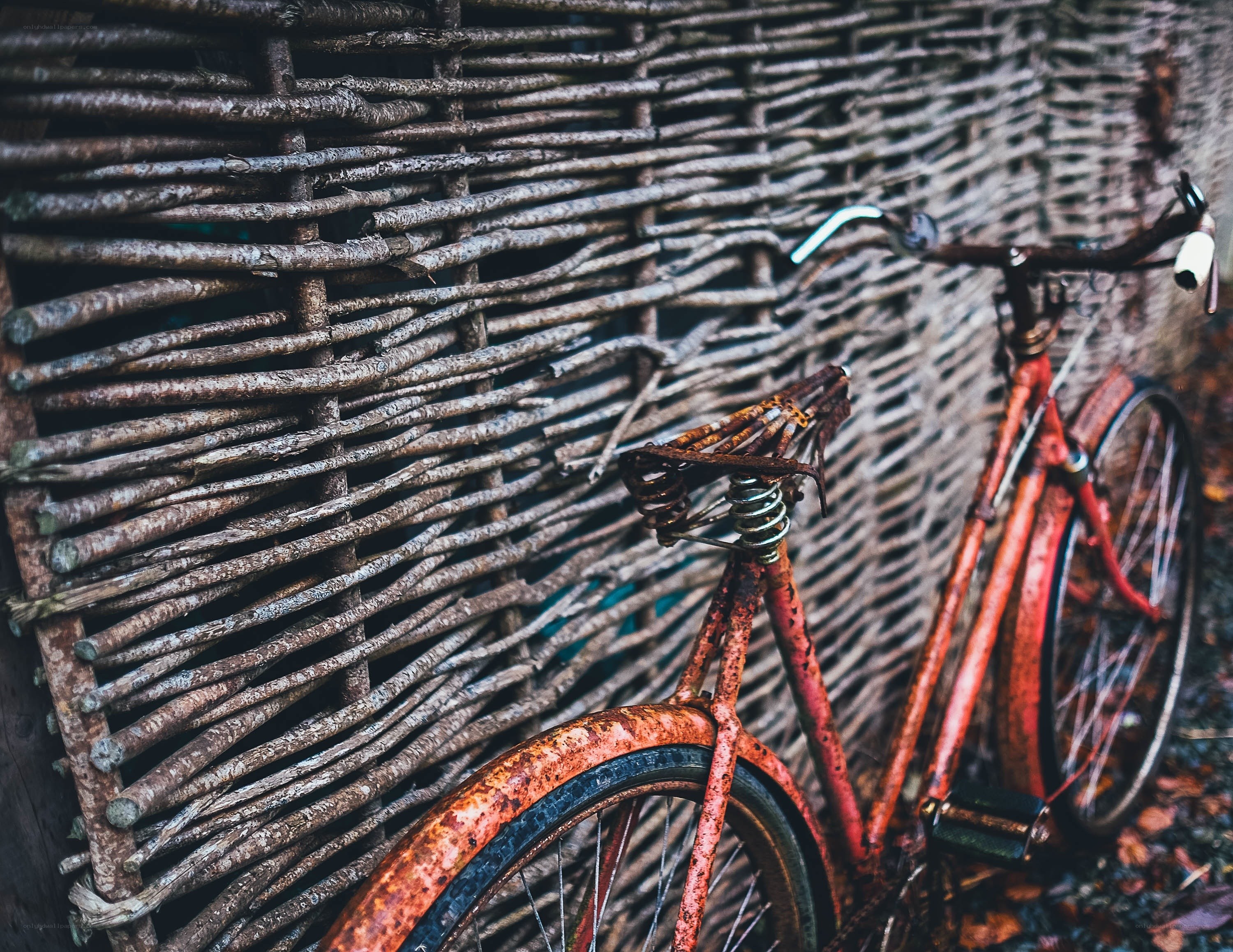 Rusty bike against wicker wall