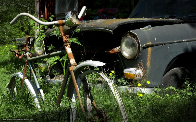 Rusty bike and car in overgrown yard