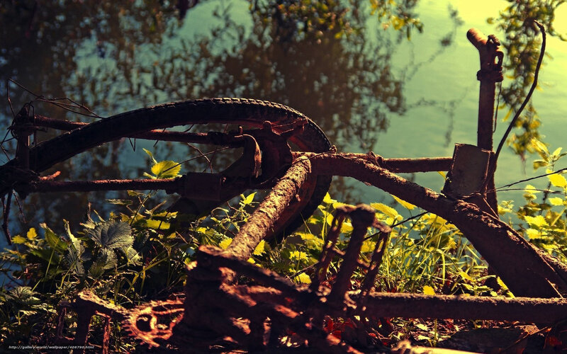 Rusty bike by the river
