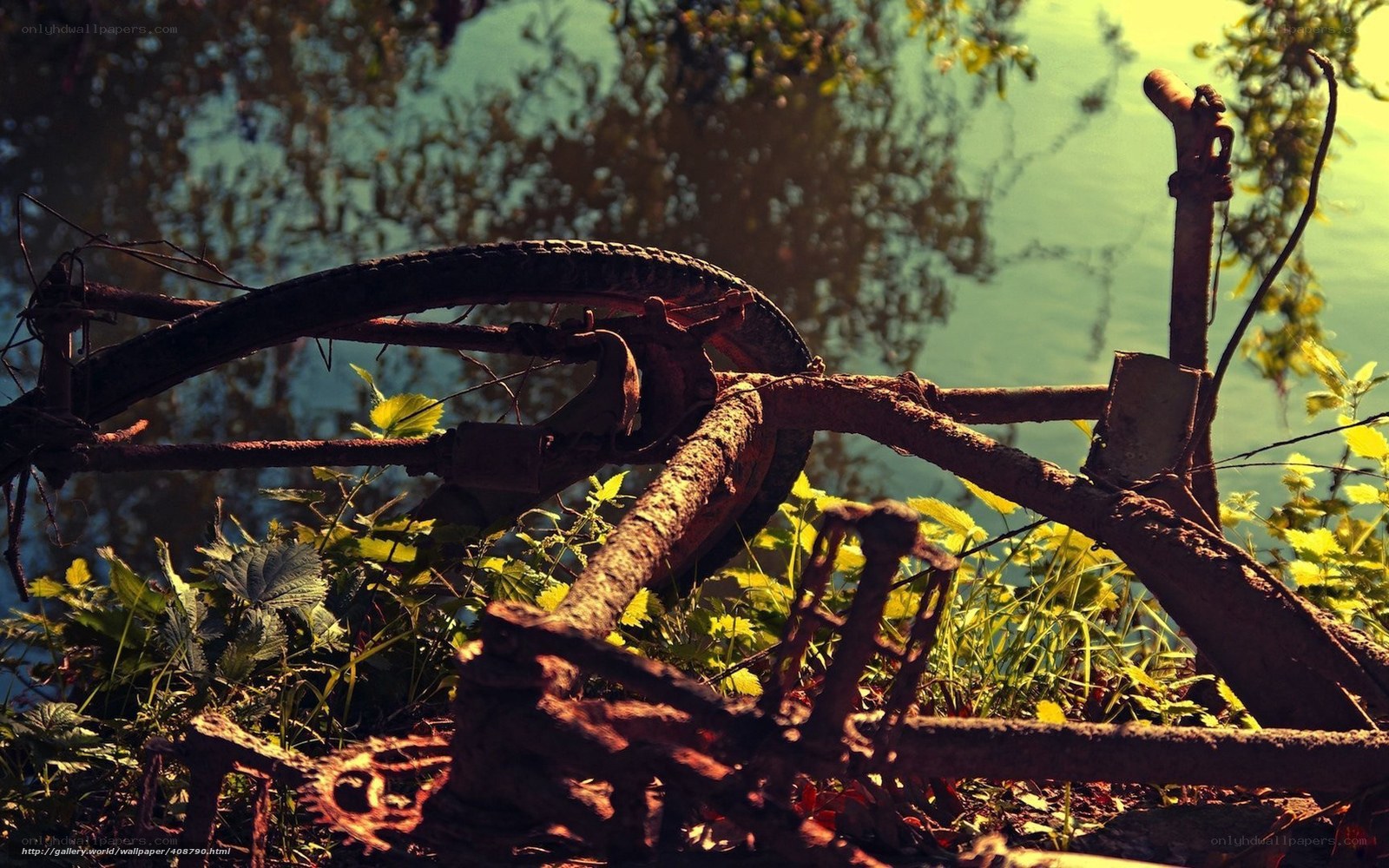 Rusty bike by the river