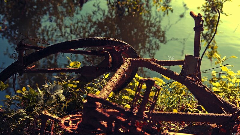 Rusty bike by the water