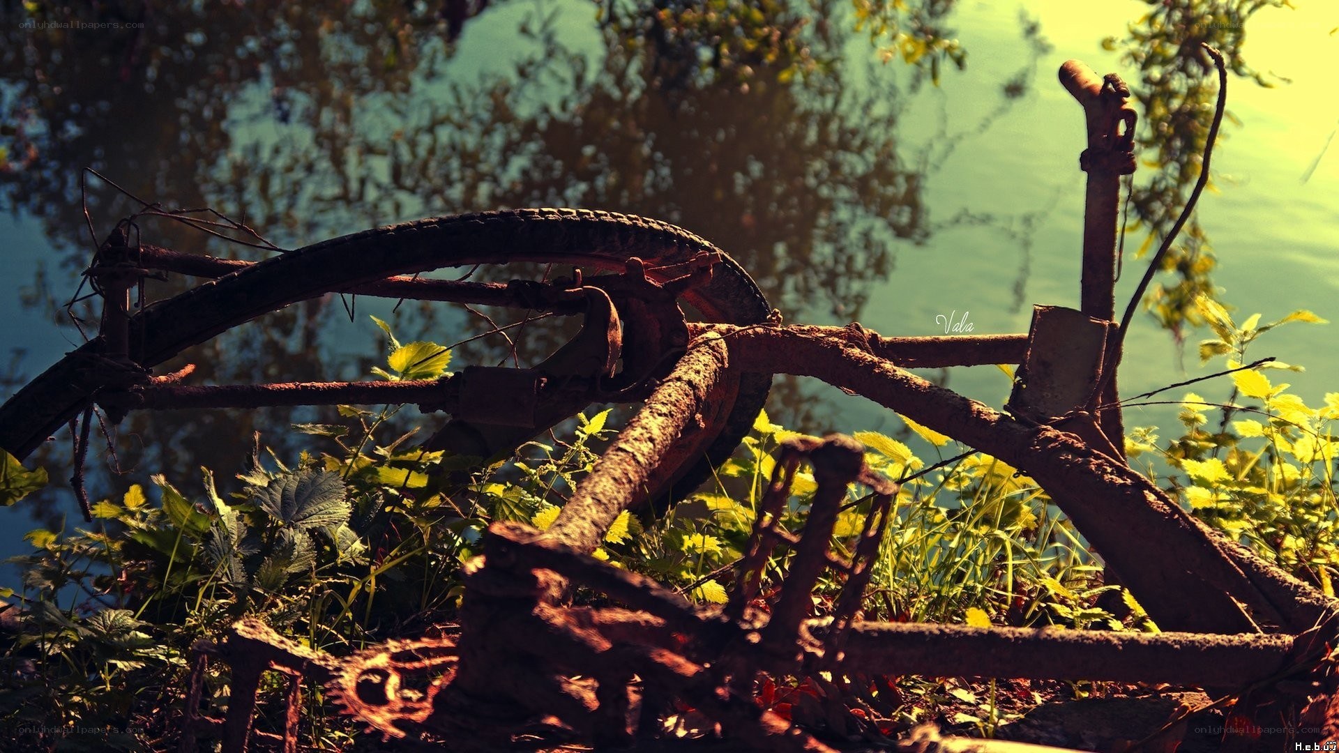 Rusty bike by the water