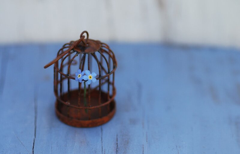Rusty Birdcage with Flowers