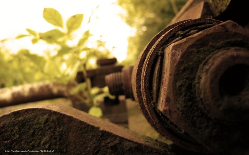 Rusty bolt in sunlight