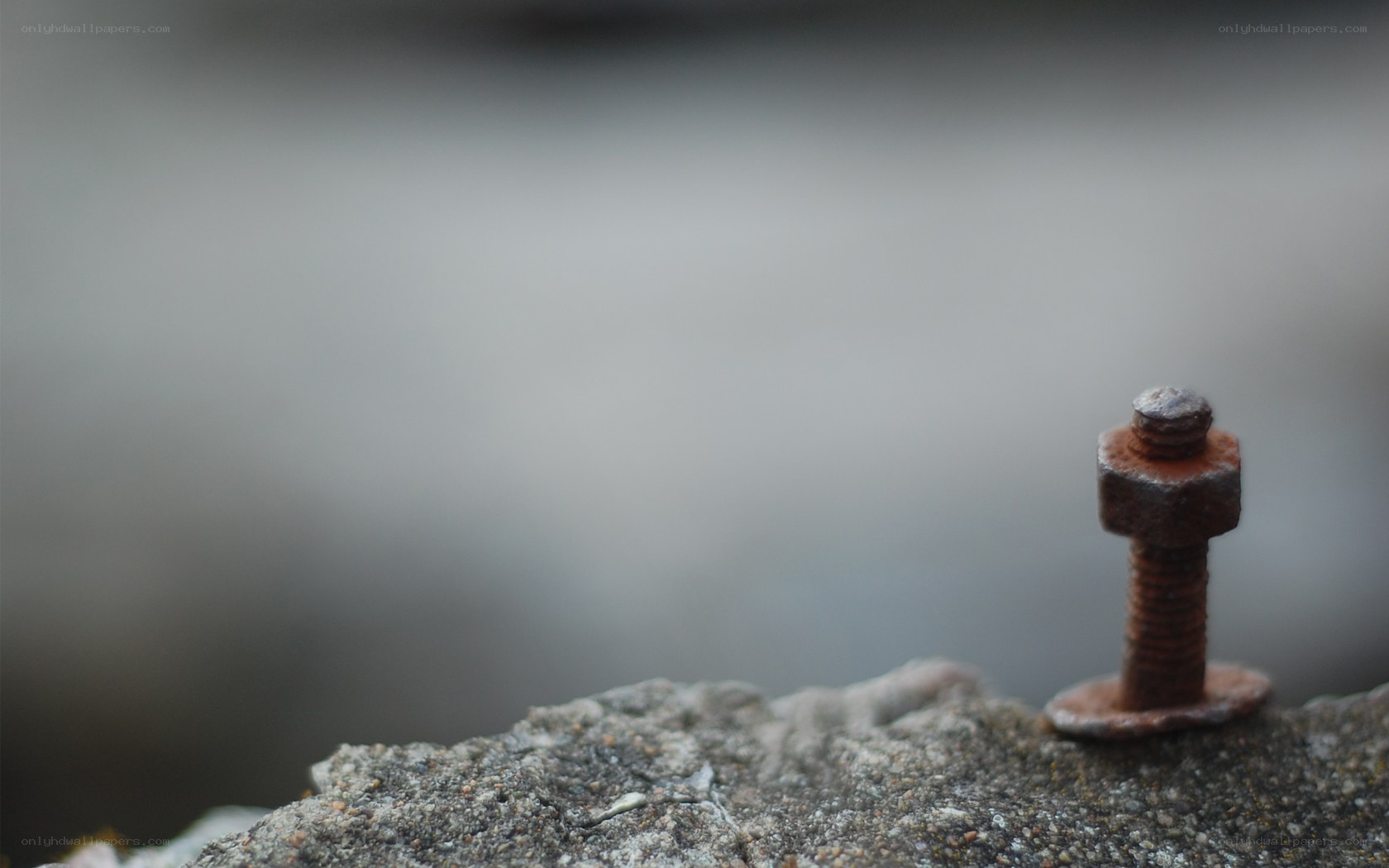 Rusty bolt on concrete