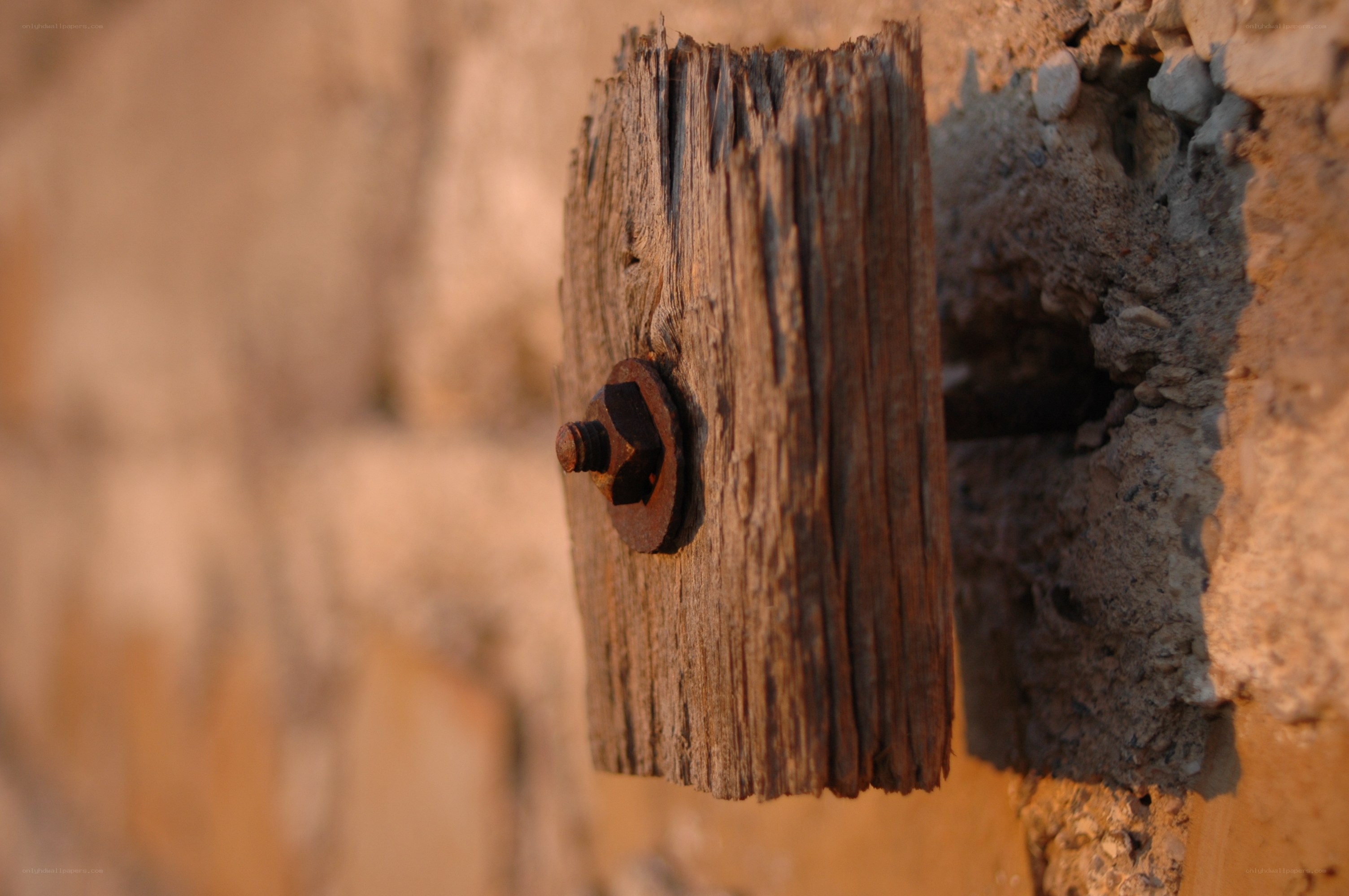 Rusty bolt on weathered wood
