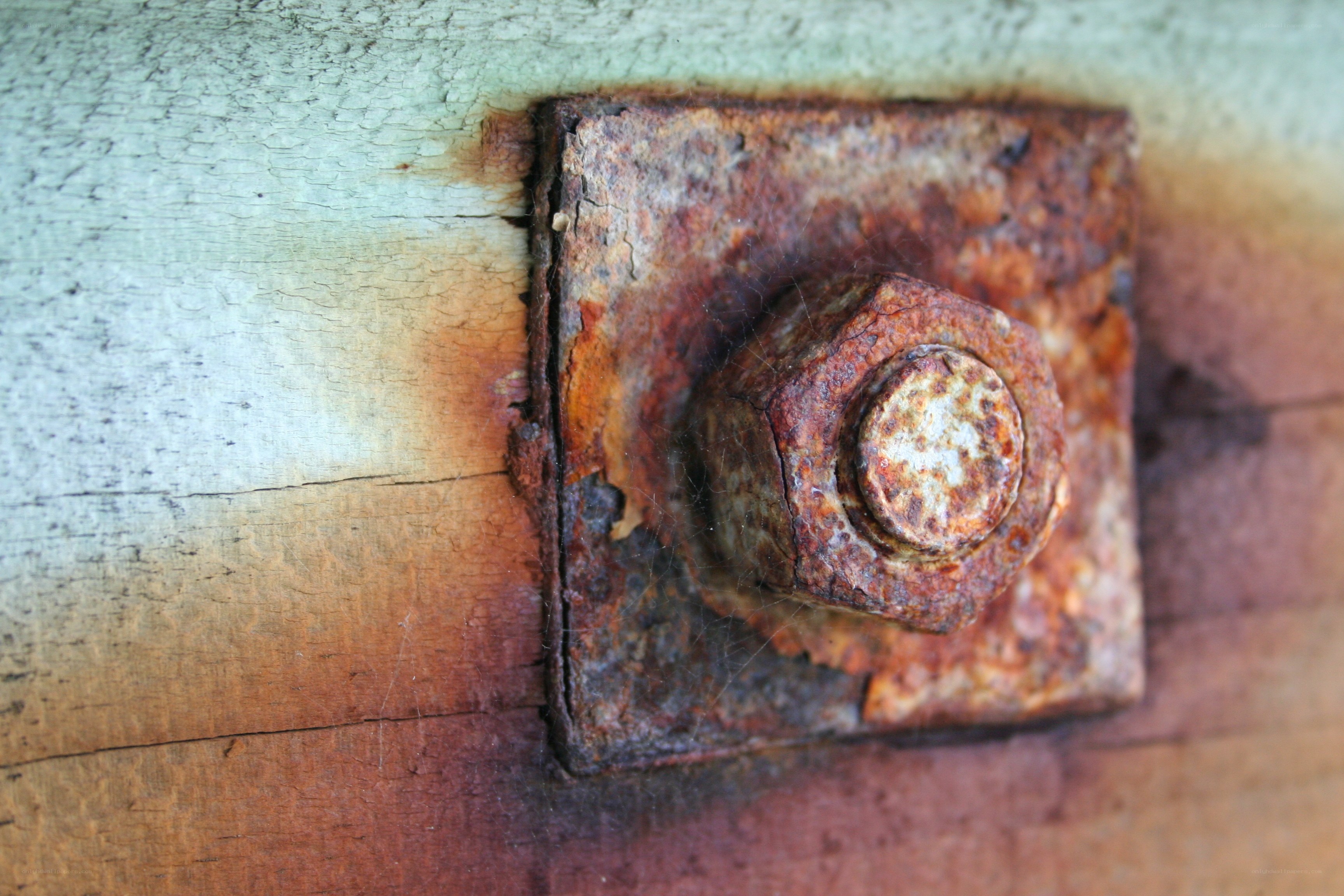 Rusty bolt on wooden surface