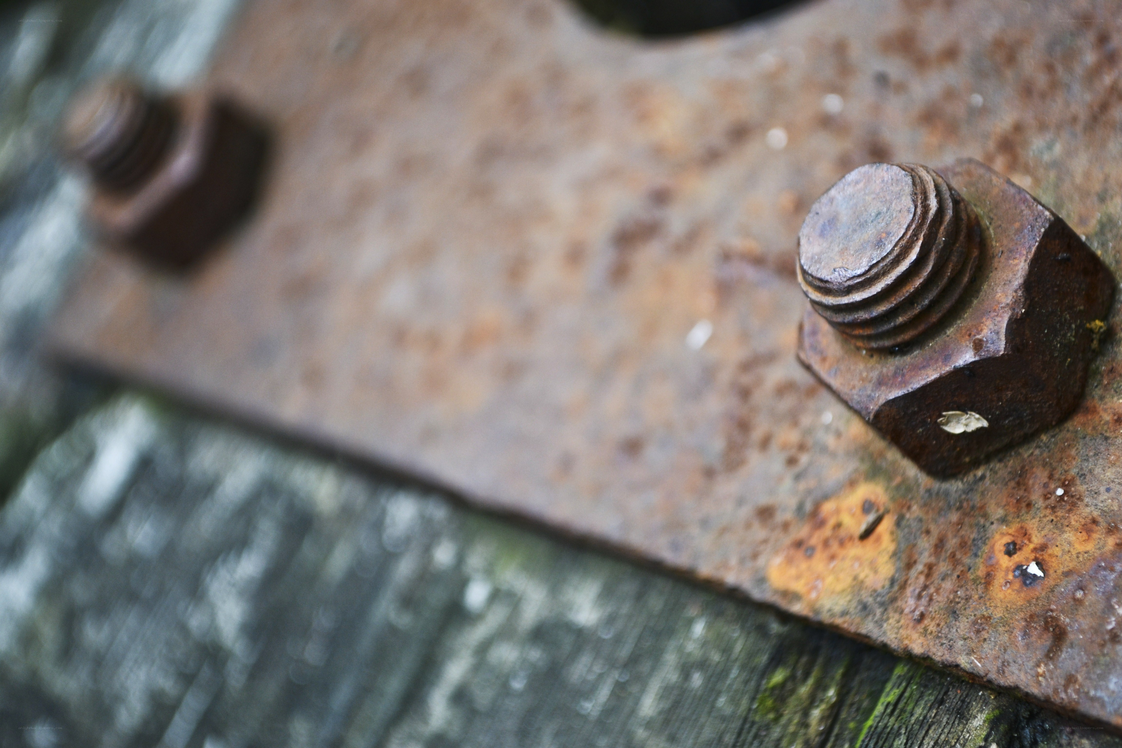 rusty bolts on metal plate