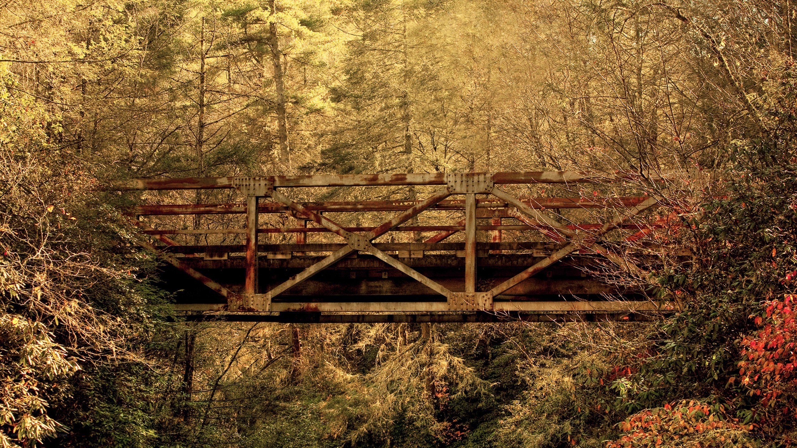 Rusty bridge in autumn forest