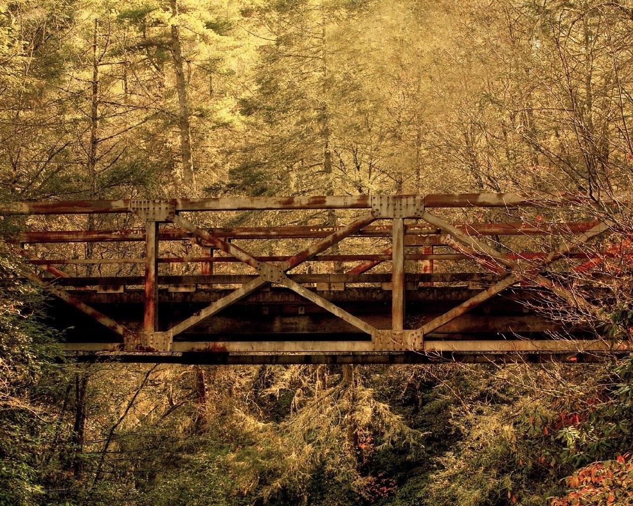 Rusty bridge in autumn forest