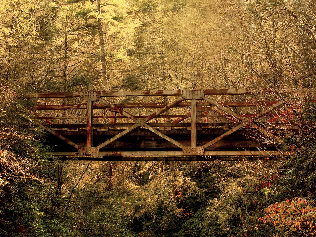 Rusty bridge in autumn forest